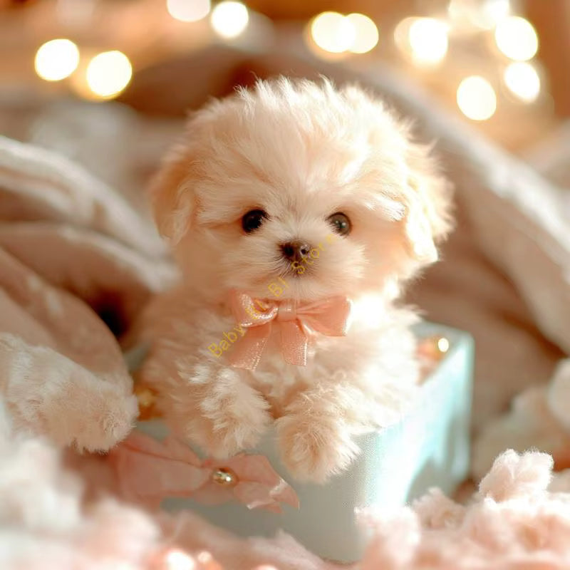 Lovique RoboPup™
