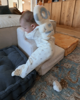 Lovique BabyGuard