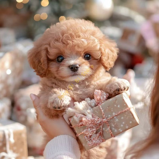 Lovique RoboPup™